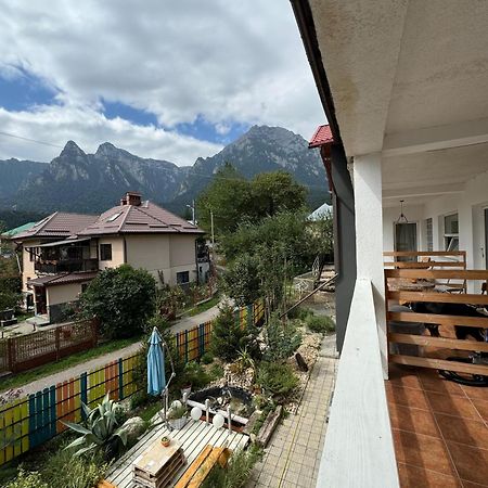 Casa David Hotell Buşteni Exteriör bild