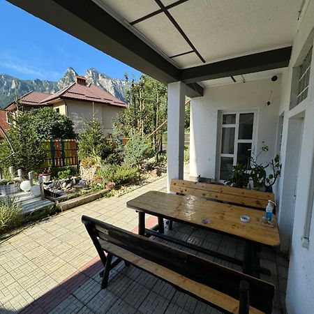 Casa David Hotell Buşteni Exteriör bild