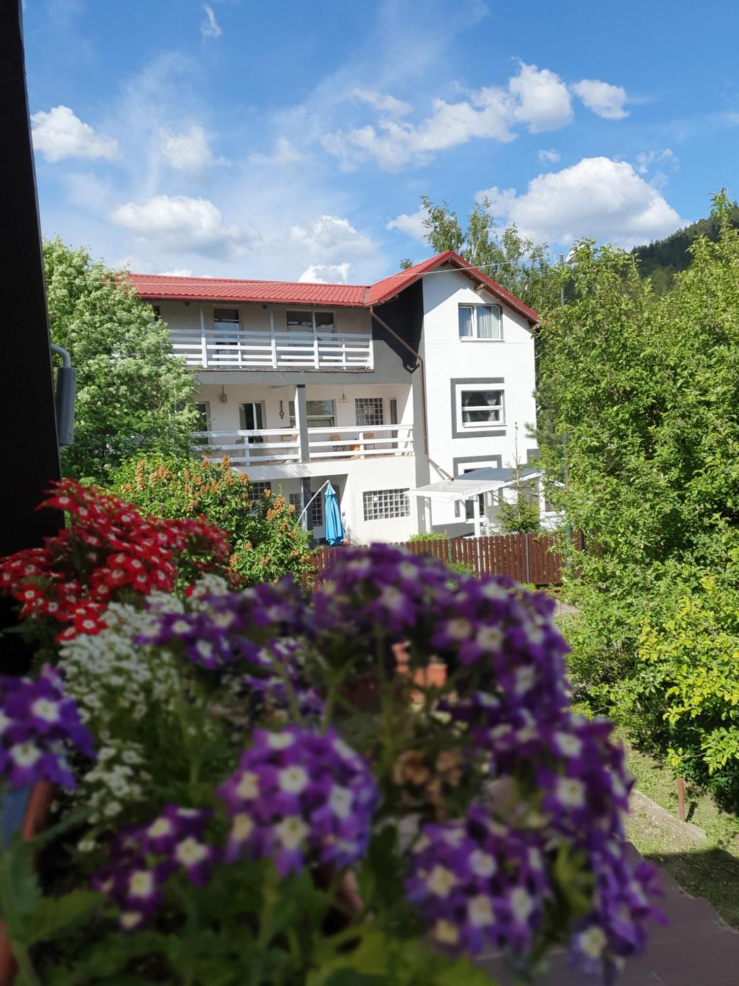 Casa David Hotell Buşteni Exteriör bild