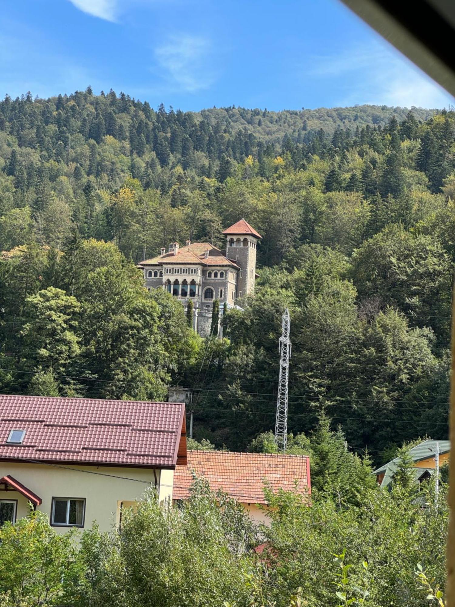 Casa David Hotell Buşteni Exteriör bild