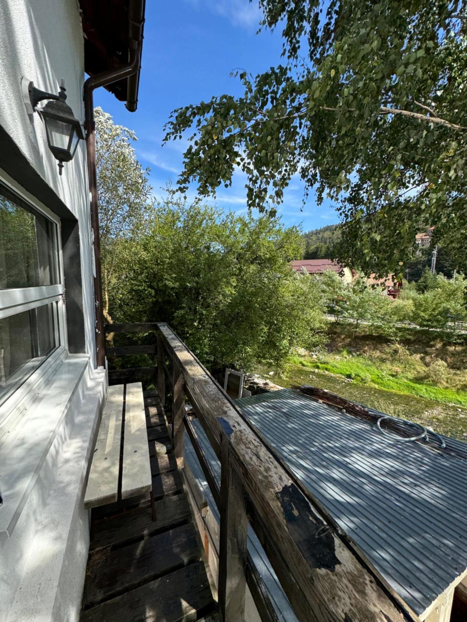Casa David Hotell Buşteni Exteriör bild