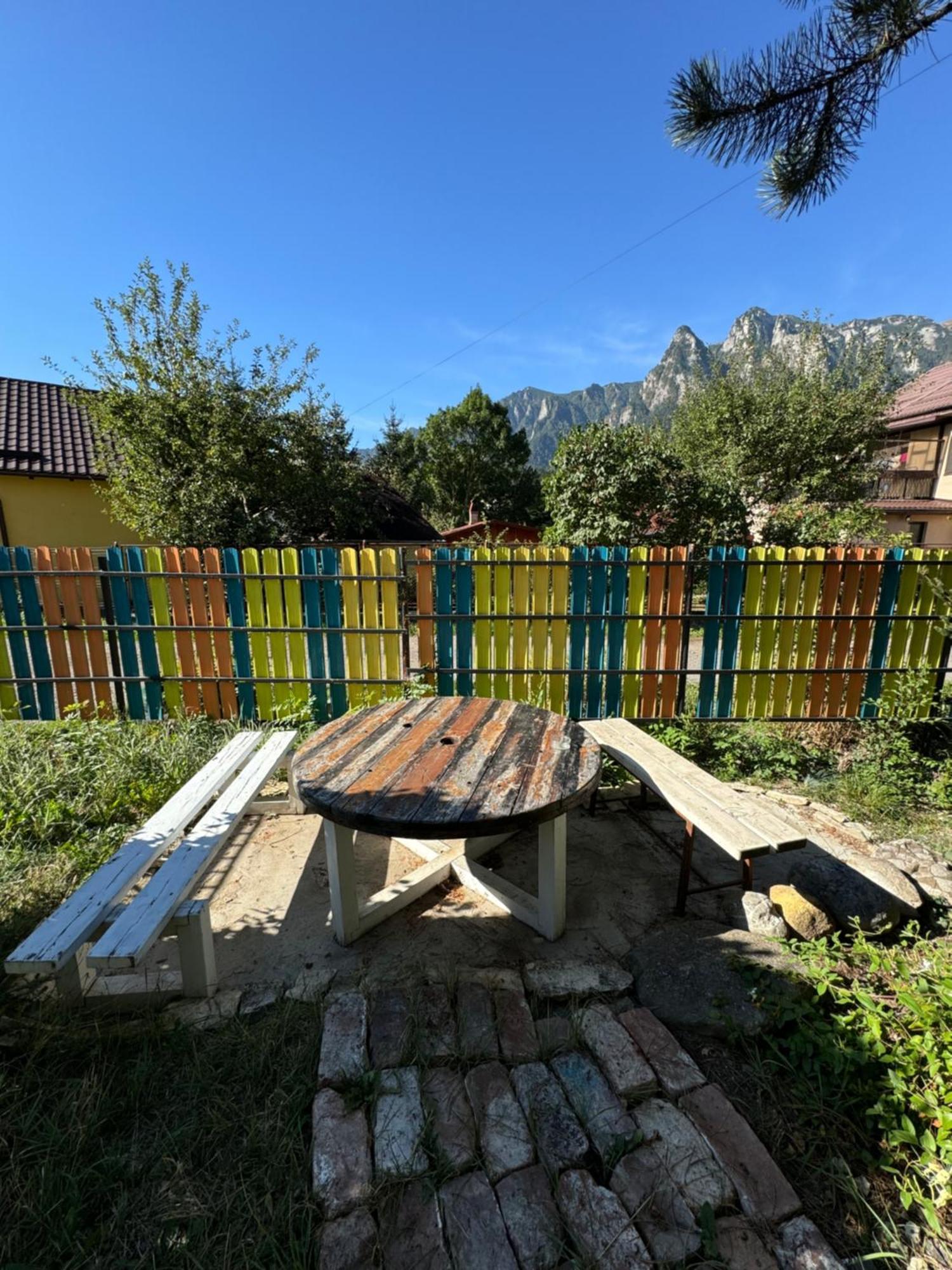 Casa David Hotell Buşteni Exteriör bild