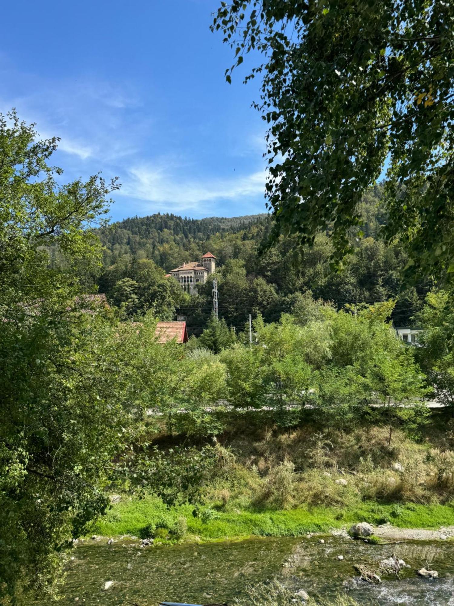 Casa David Hotell Buşteni Exteriör bild