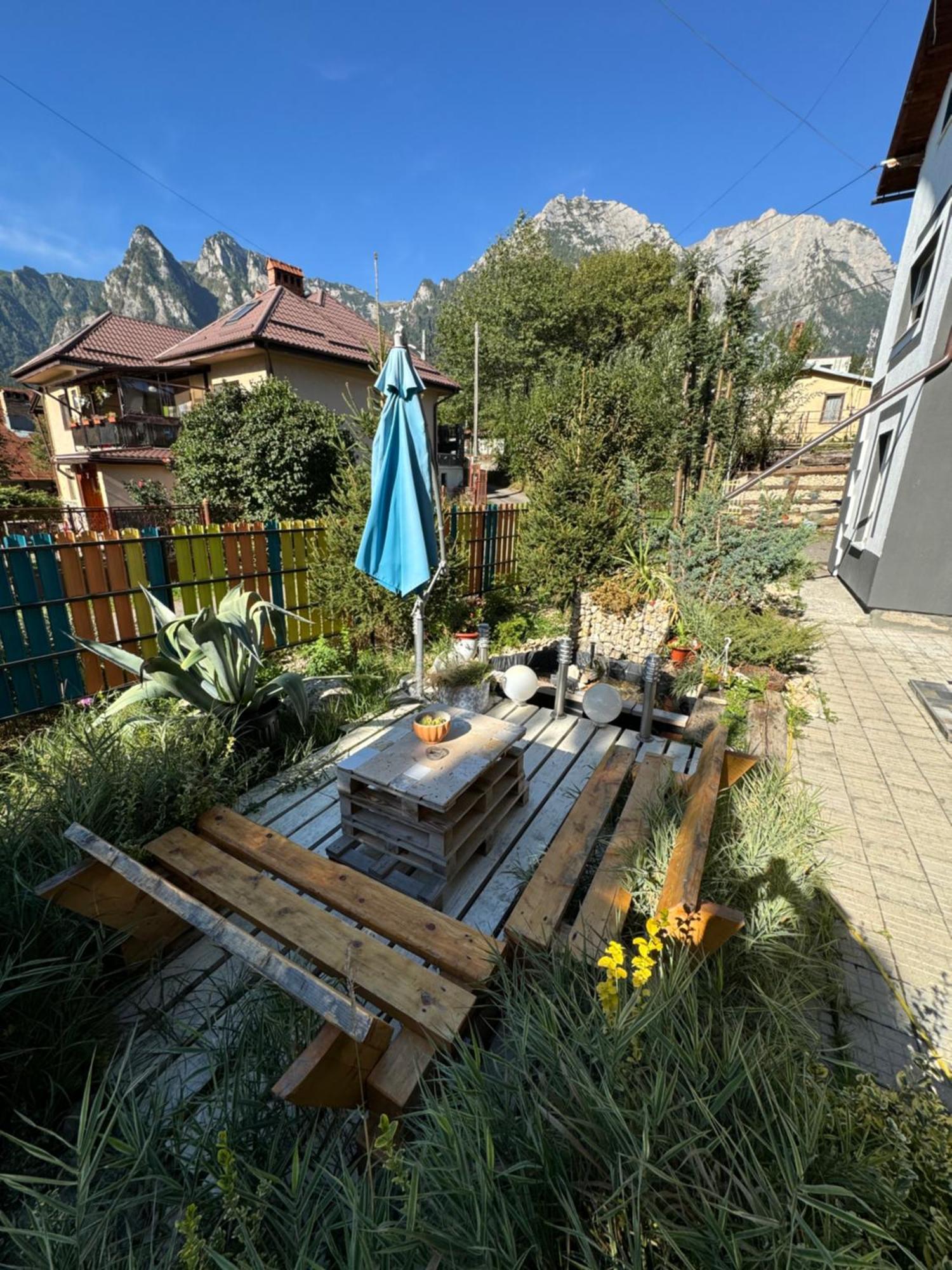 Casa David Hotell Buşteni Exteriör bild