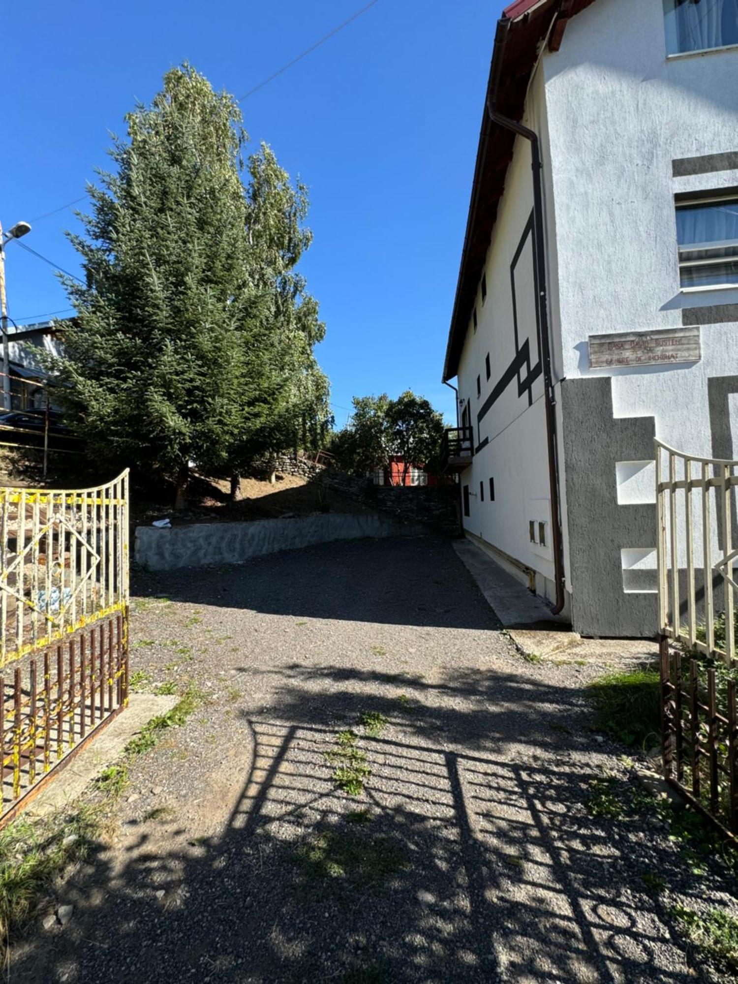 Casa David Hotell Buşteni Exteriör bild
