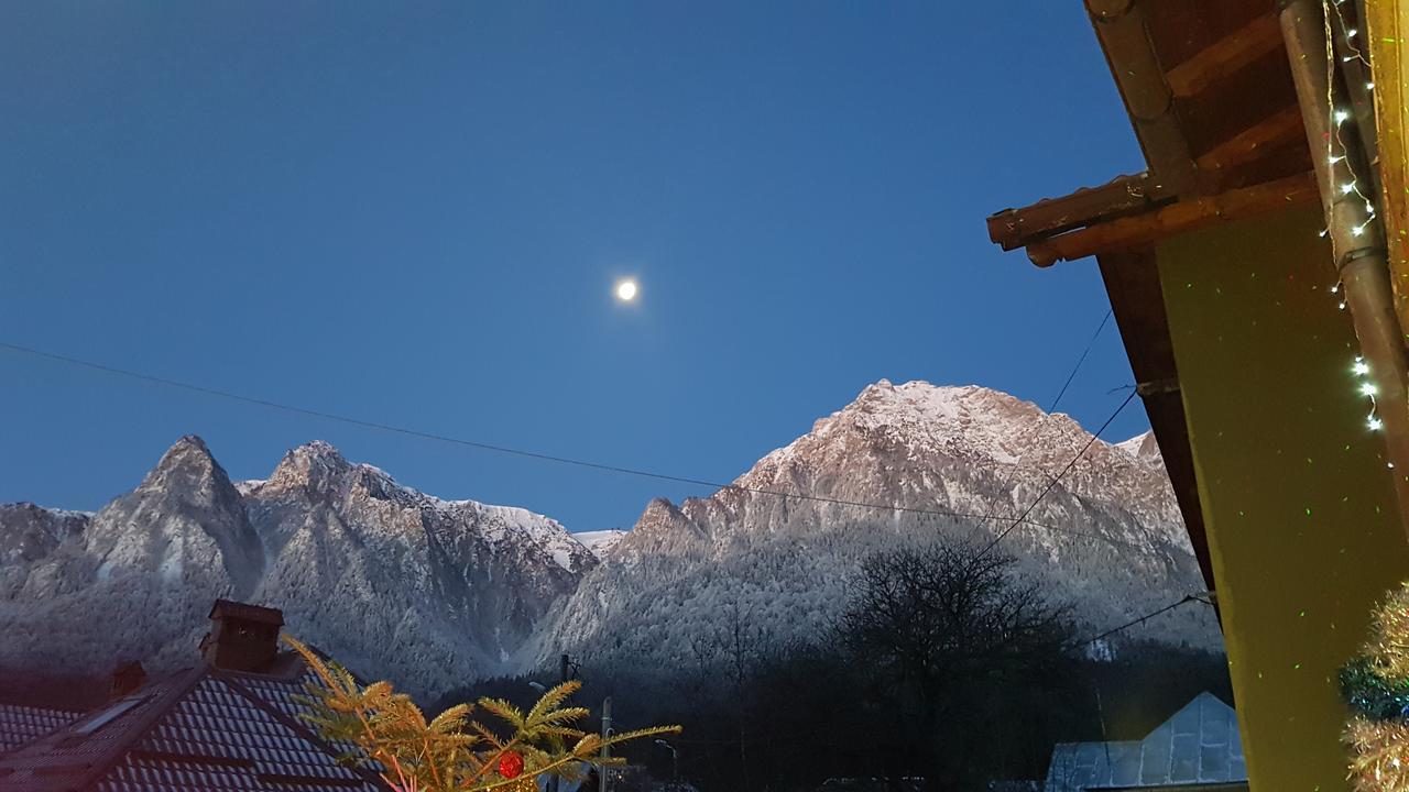 Casa David Hotell Buşteni Exteriör bild